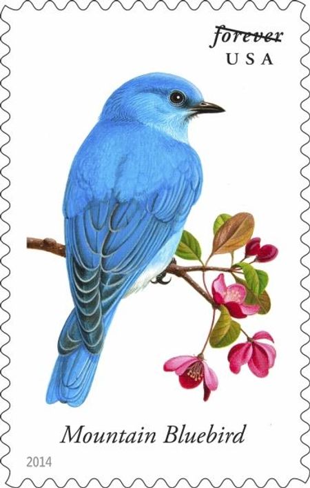 100 Bluebird Forever Stamps Unused Mountain Songbird Forever Stamps for Mailing